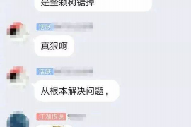 栖霞债务清欠服务